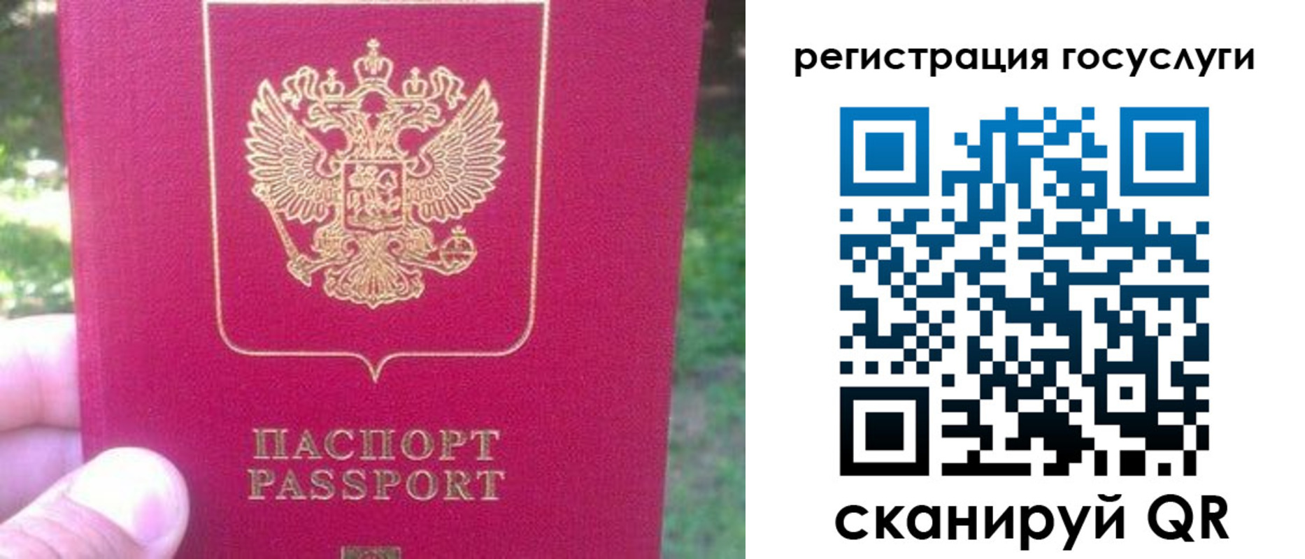 временная прописка в Клинцах